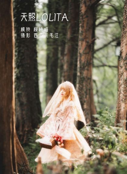 打烊后仅剩的沙龙樱花片尾曲